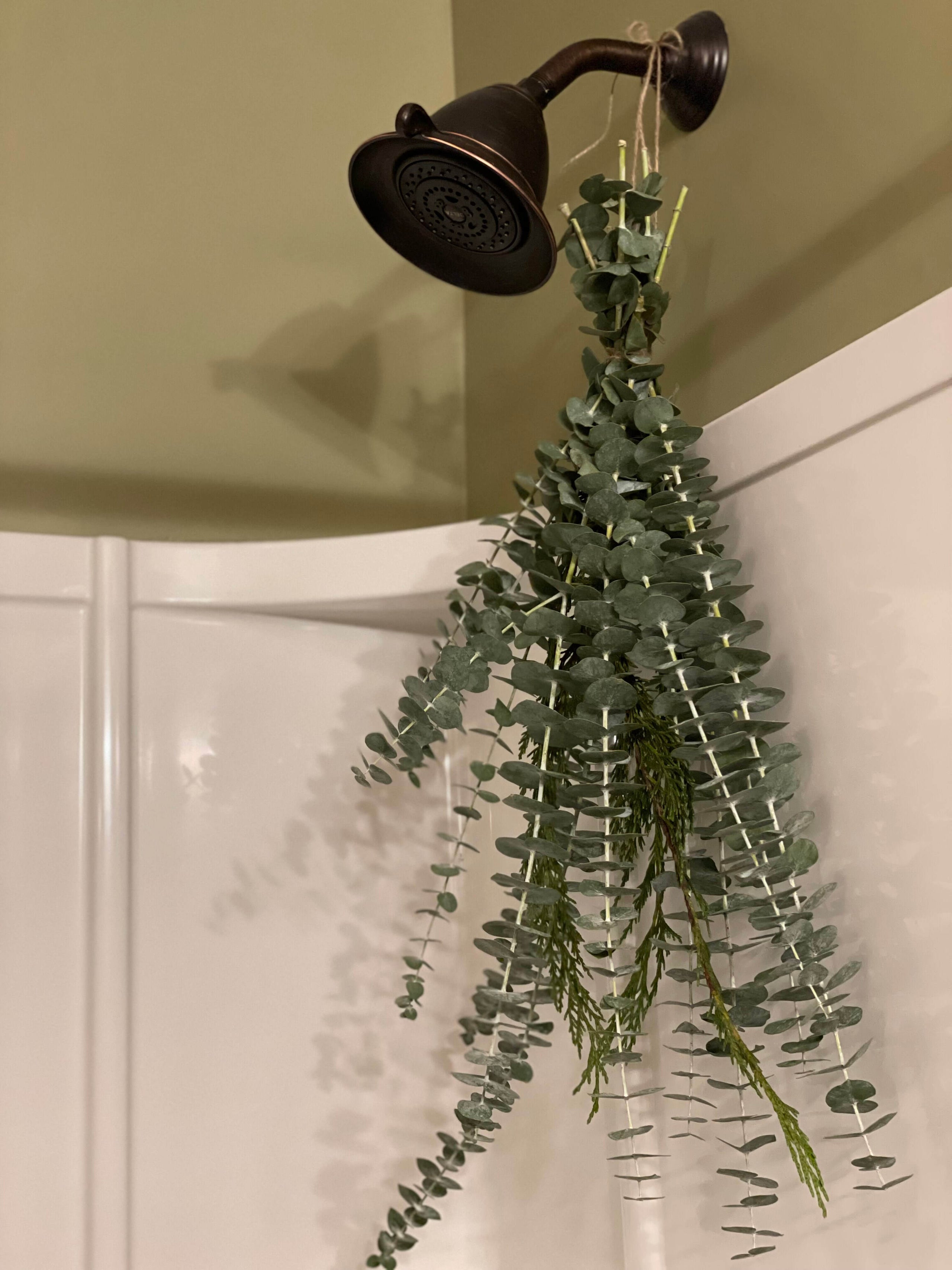 Fresh Eucalyptus Shower Hanger – The Barn Company